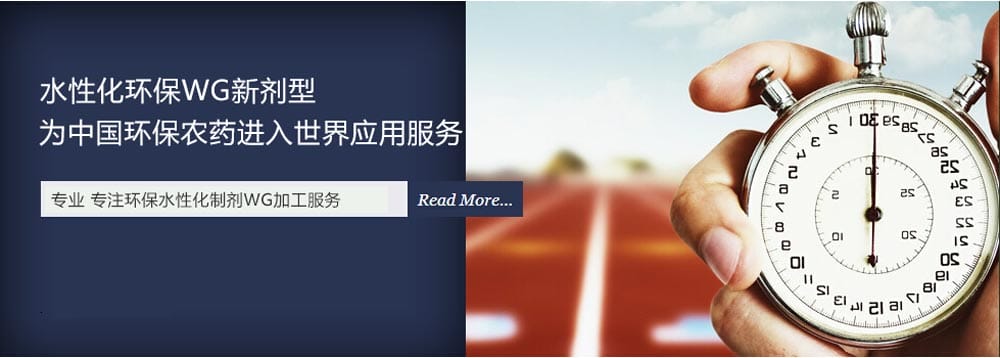 抗性蓟马防治难，用对方法，教你一招制胜！