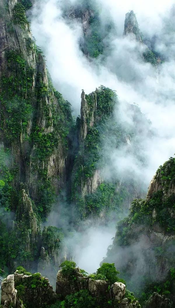 黄山又一次震惊全国！恍如人间仙境，美到极致！