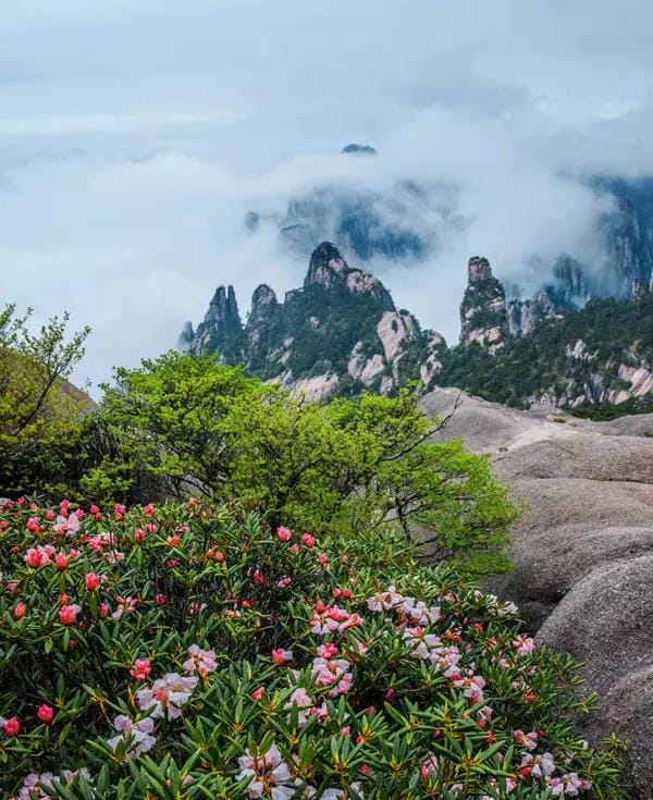 黄山5.jpg