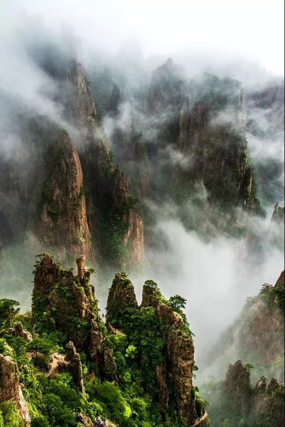 黄山7.jpg