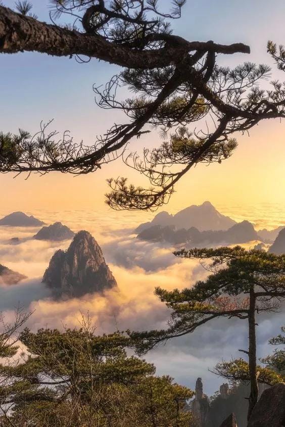黄山9.jpg