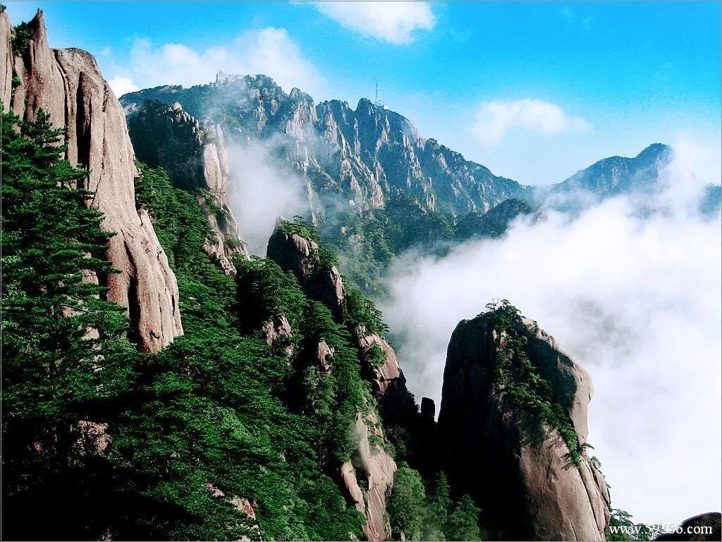 黄山13.jpg