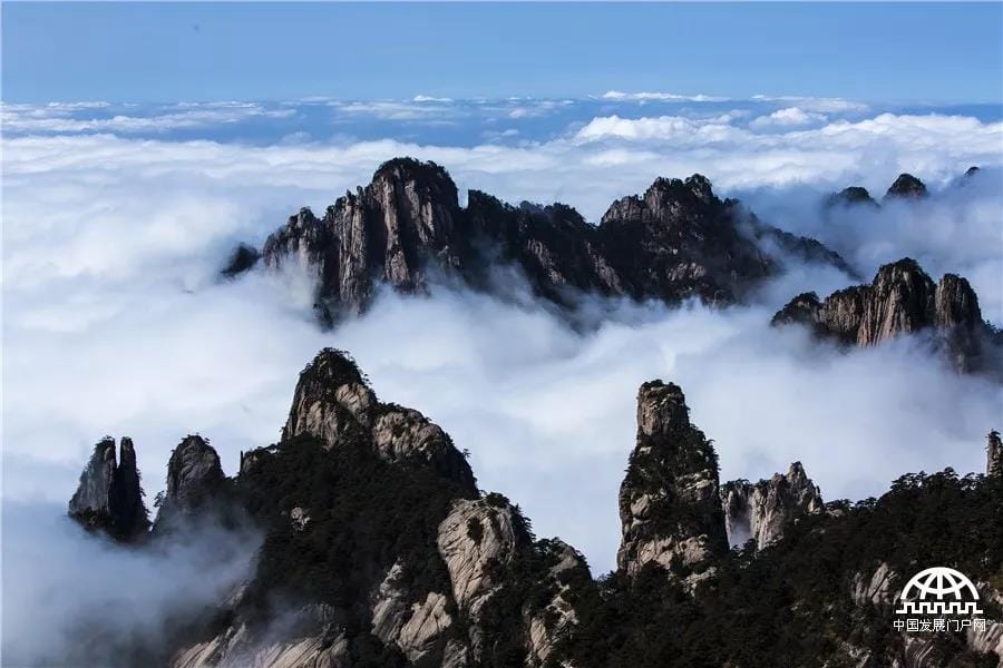黄山14.jpg