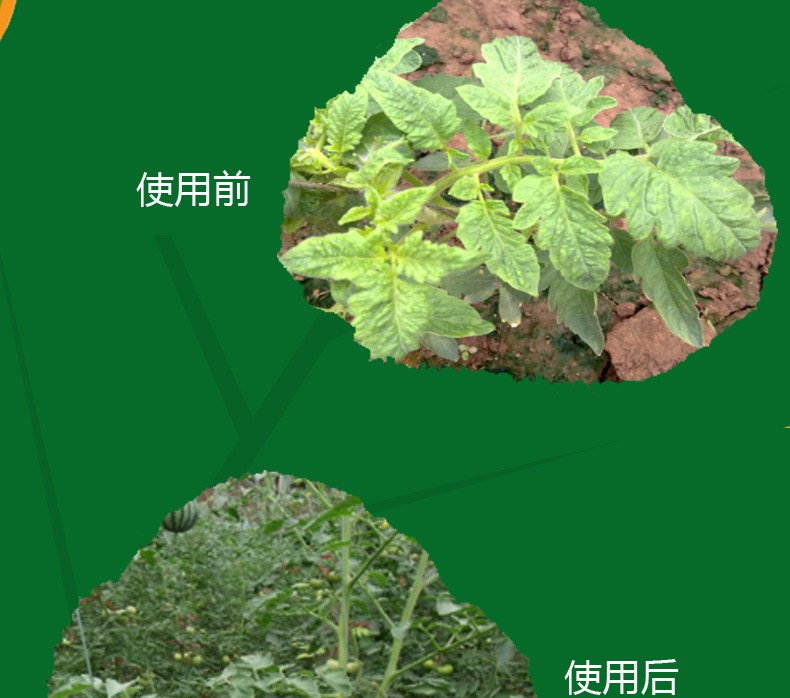 氯氟联苯吡菌胺如何实现我国首家登记？