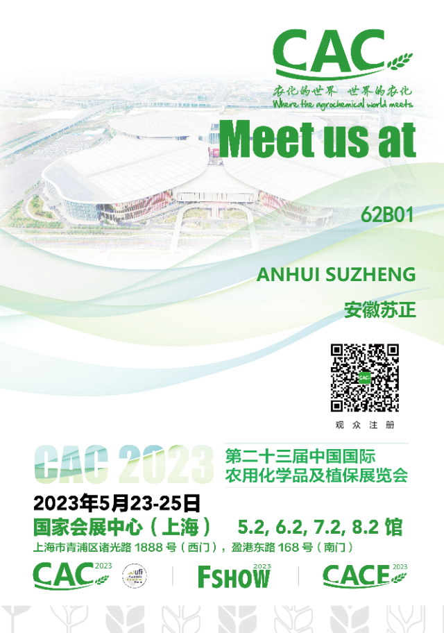 凝心聚力开新局  奋楫扬帆启新篇